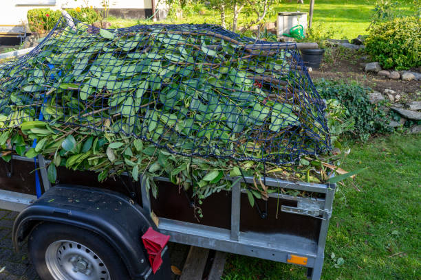 Best Moving and Downsizing Cleanouts  in Ocean Grove, MA